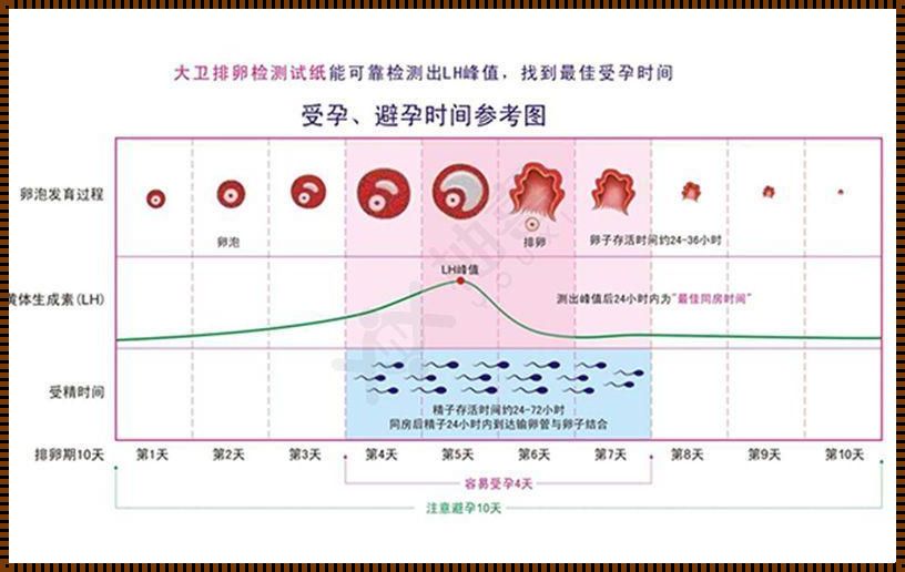 推迟4天怀孕的几率大吗？