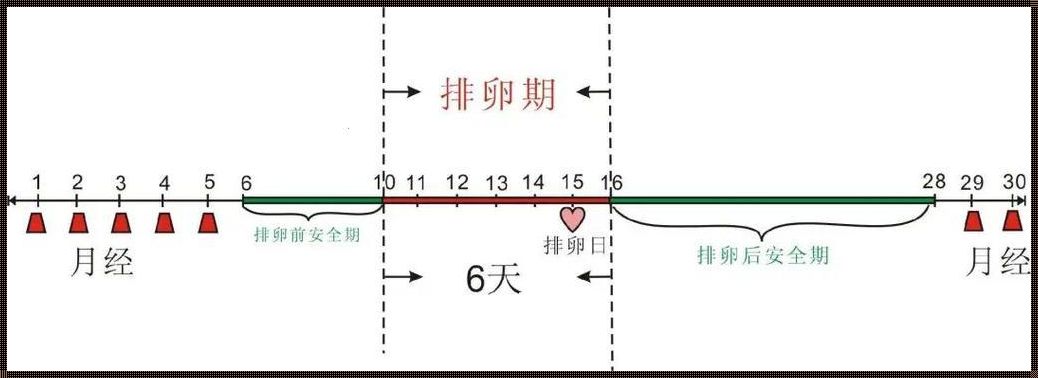 怎么增加受孕的几率和怀孕