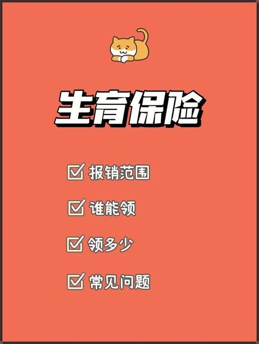 探讨试管婴儿与生育津贴：福利还是权益？